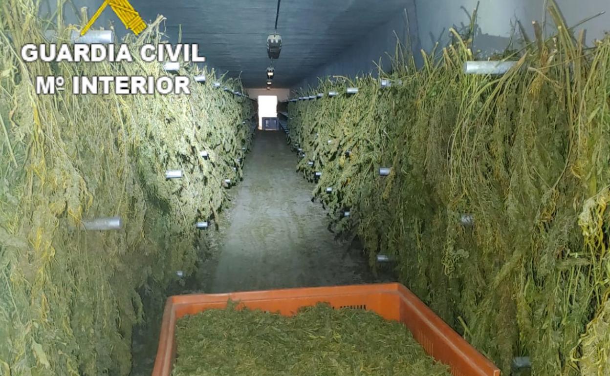 La Guardia Civil incauta 2,8 toneladas de cannabis en Zafarraya