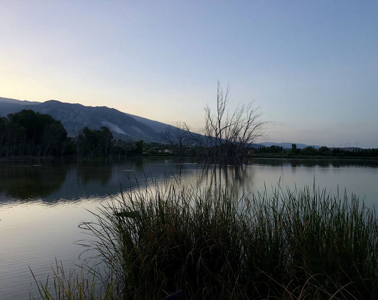 El humedal y la laguna de Padul.