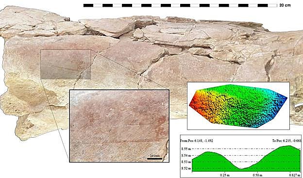 Una marca de corte sobre un fémur de hipopótamo. Incluye la reconstrucción virtual 3D de dicha marca.