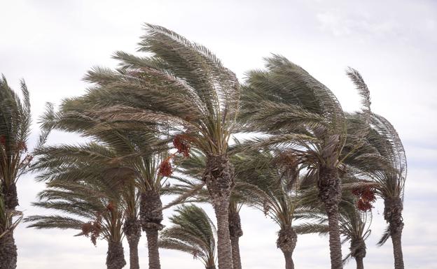 La alerta amarilla de AEMET por mal tiempo en Andalucía que se extenderá durante la semana