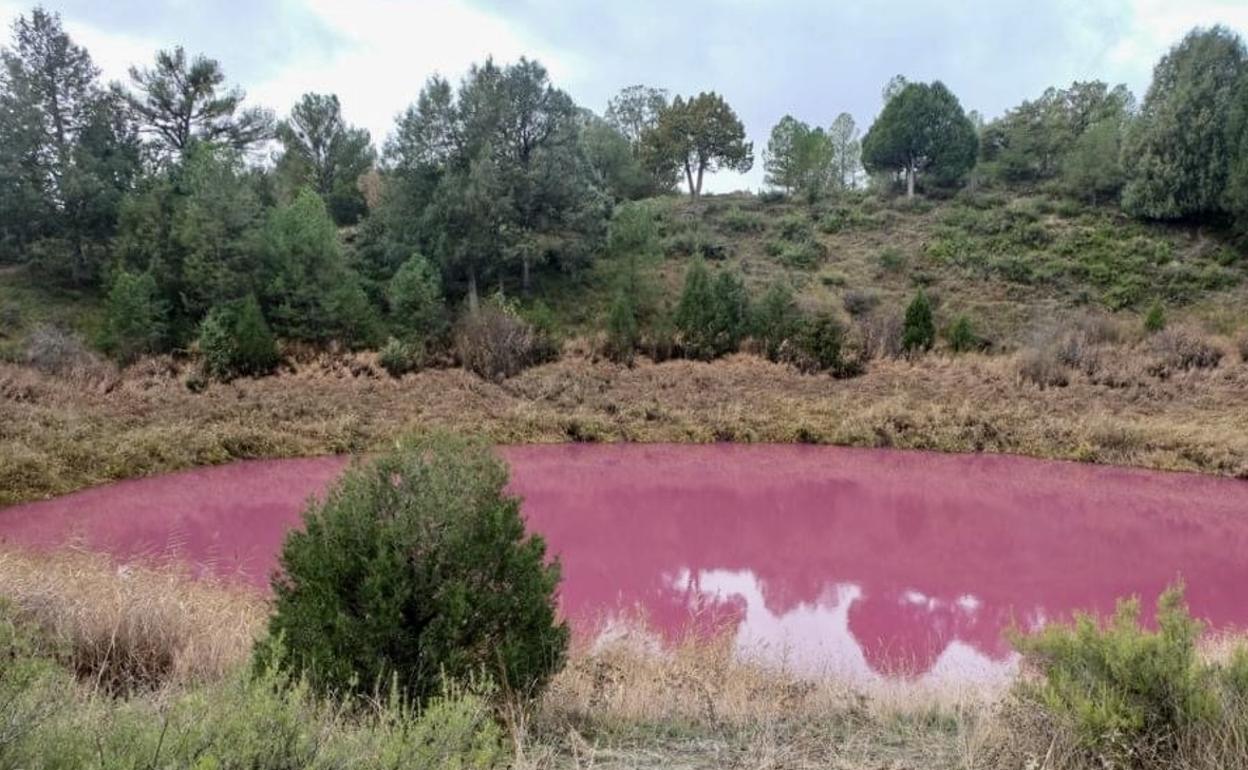 La laguna rosa.