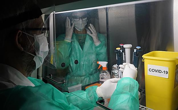 La OMS pronostica el fin de la pandemia de la covid.