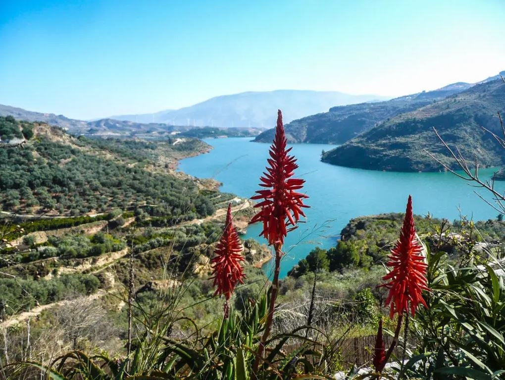 Vista del embalse de Béznar.