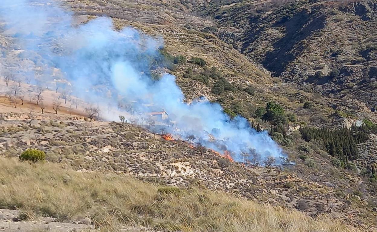 Zona en la que se ha producido el incendio.