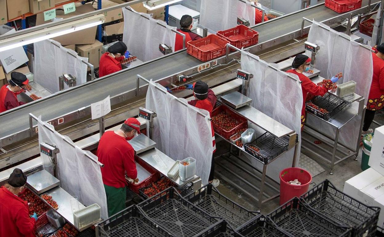 El de 2022 es el mes de enero con más contratos fijos en Granada