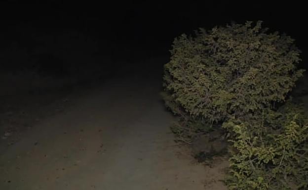 Lugar donde han sido hallados los cadáveres.