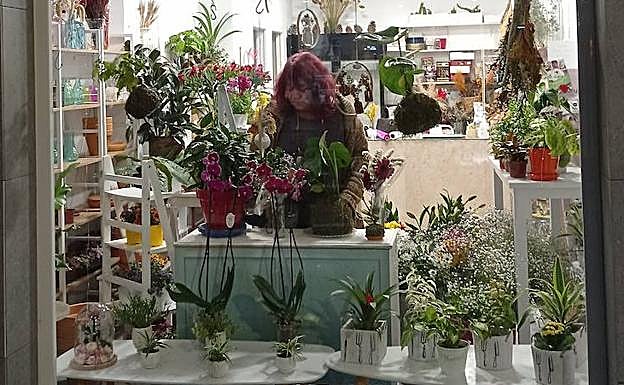 Luisa ha convertido una esquina del barrio del Realejo en un pequeño y precioso jardín.