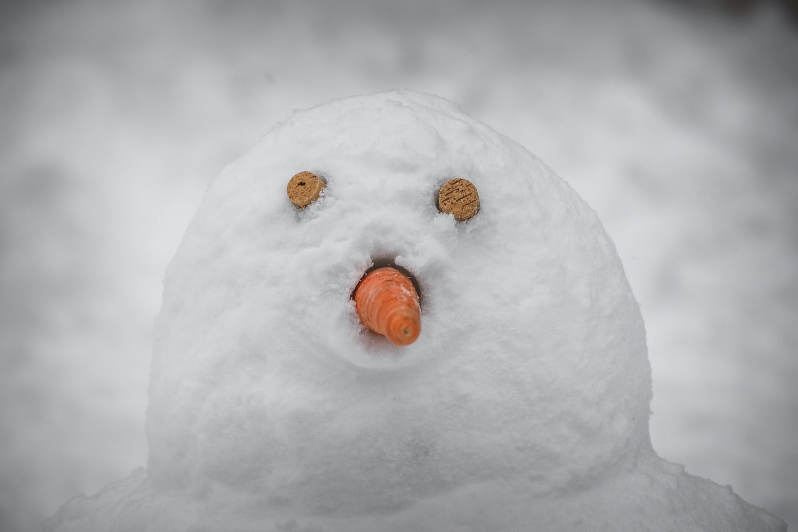 La copiosa nevada en la estación ha dejado estampas muy invernales y esperadas