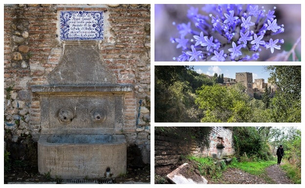 Fuente del Avellano y entorno.