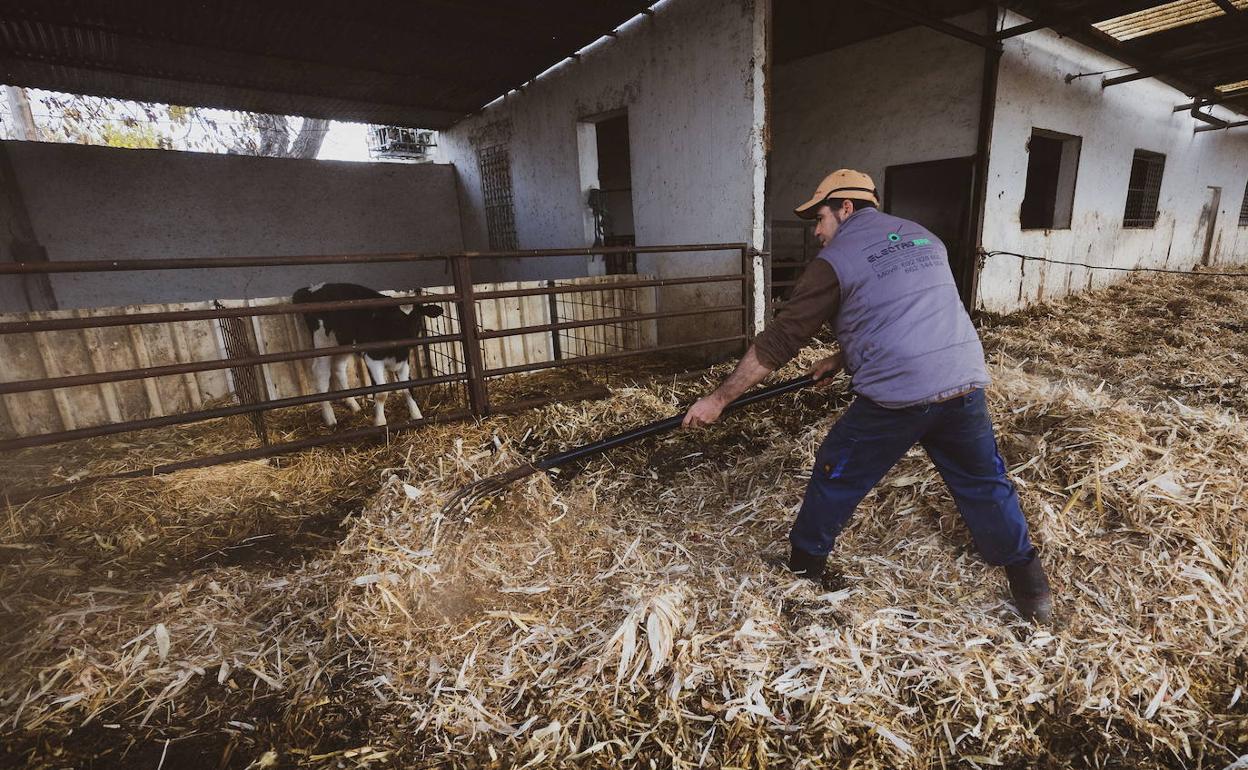 El paro de los transportistas bloquea la industria láctea granadina