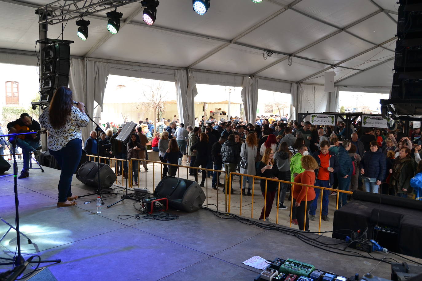 La Fiesta del Vino se ha celebrado este domingo en Alhama.
