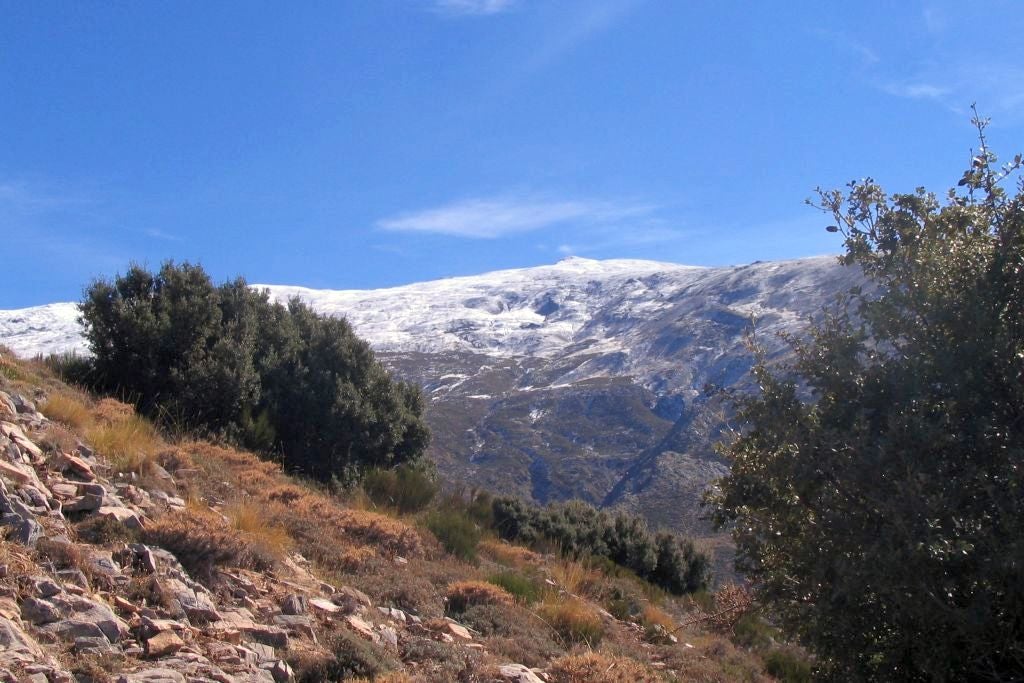 Vista a Sierra Nevada desde los Neveros