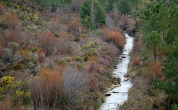 Ruta de Arenas del Rey