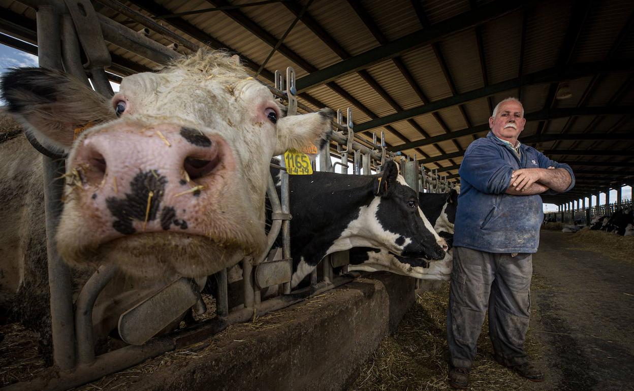 El ganadero Francisco Fernández en una vaquería de Granada. 