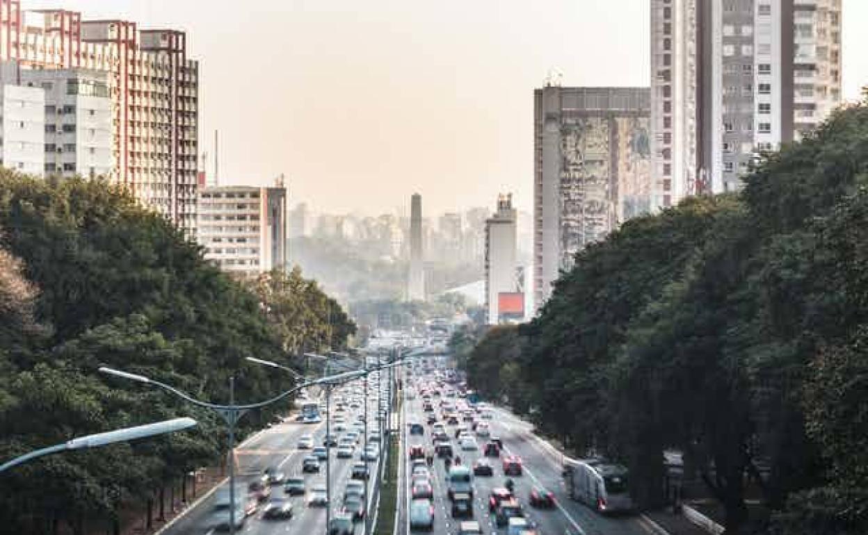 ¿Está contaminada su ciudad? Pregúntele a los árboles