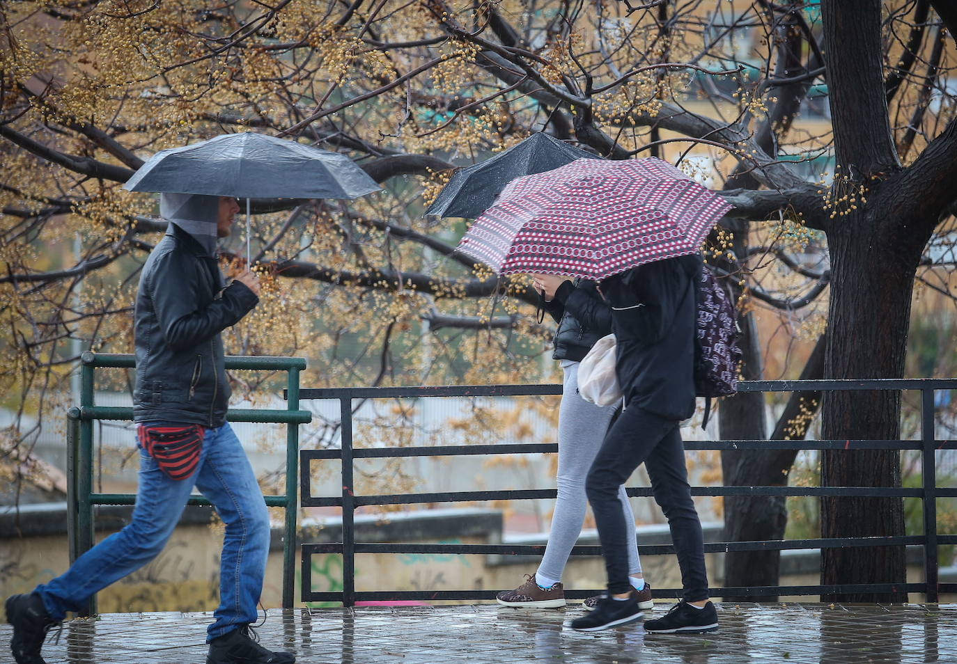 Lluvia en Granada.