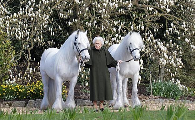 La reina Isabel II, con dos de sus ponis. 