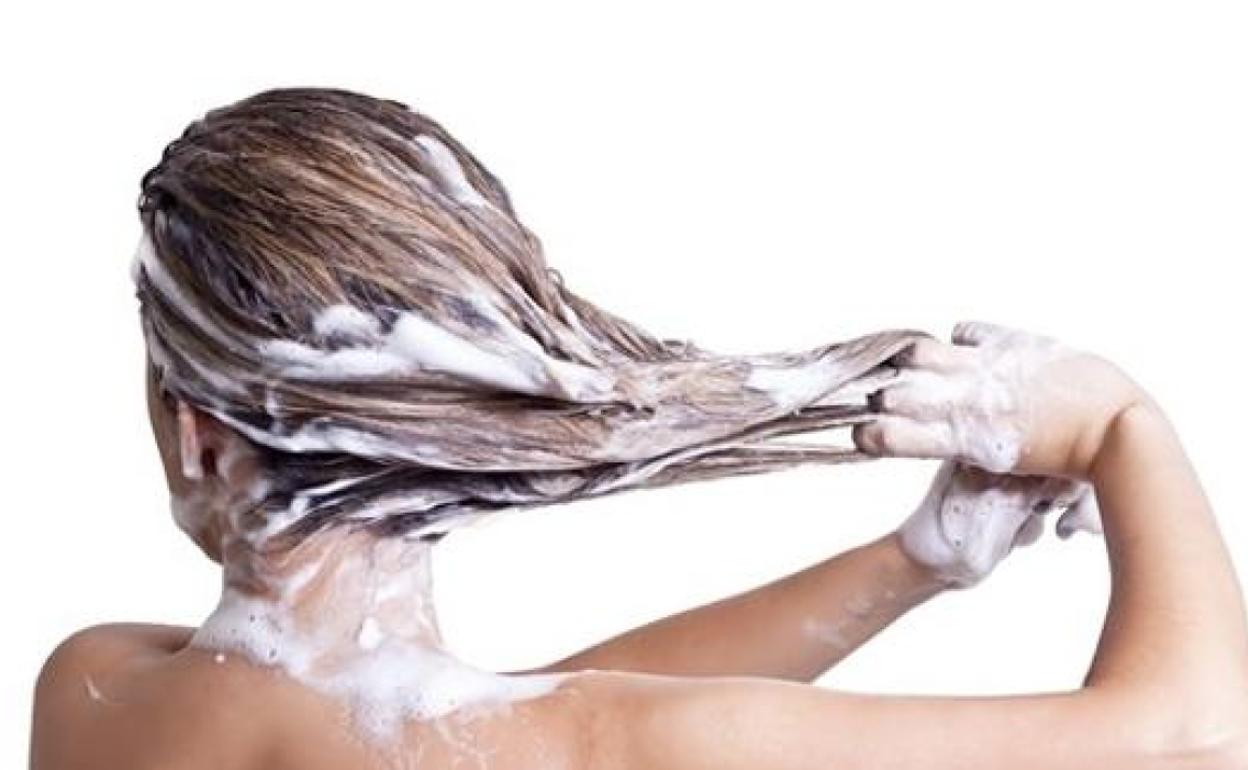 Imagen de archivo de un champú