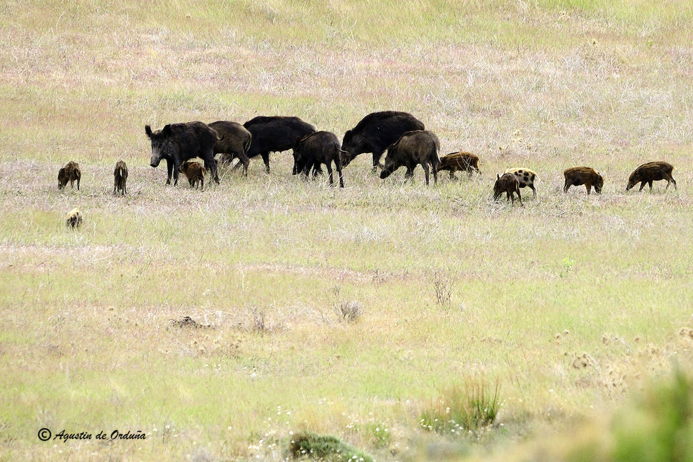 Fotos: Un tesoro de la naturaleza llamado Sierra de Baza