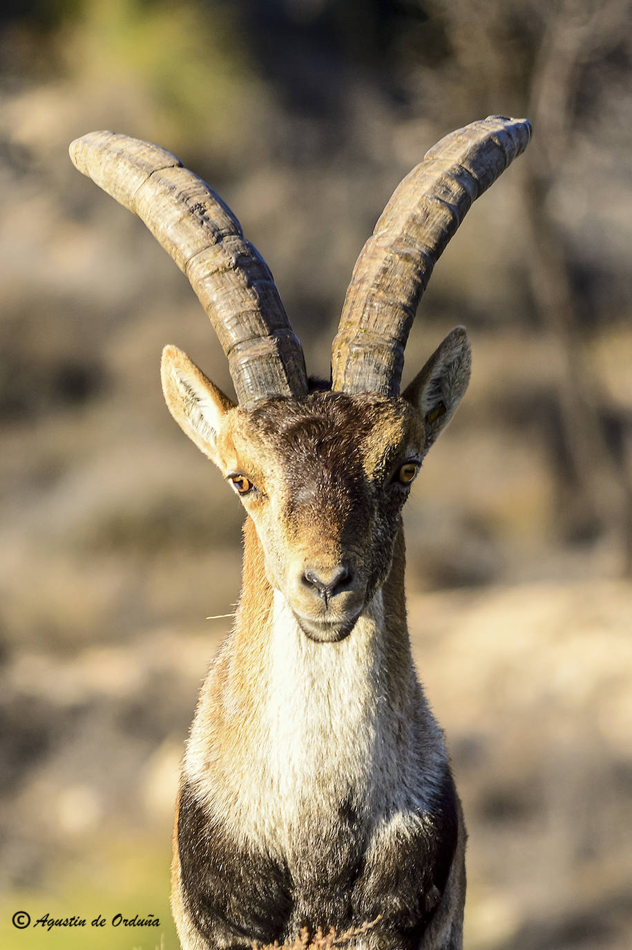 Fotos: Un tesoro de la naturaleza llamado Sierra de Baza