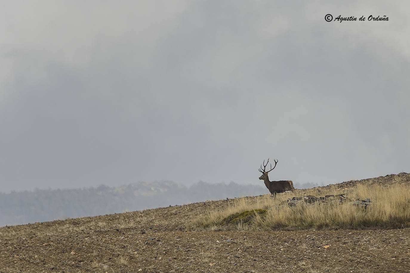 Fotos: Un tesoro de la naturaleza llamado Sierra de Baza