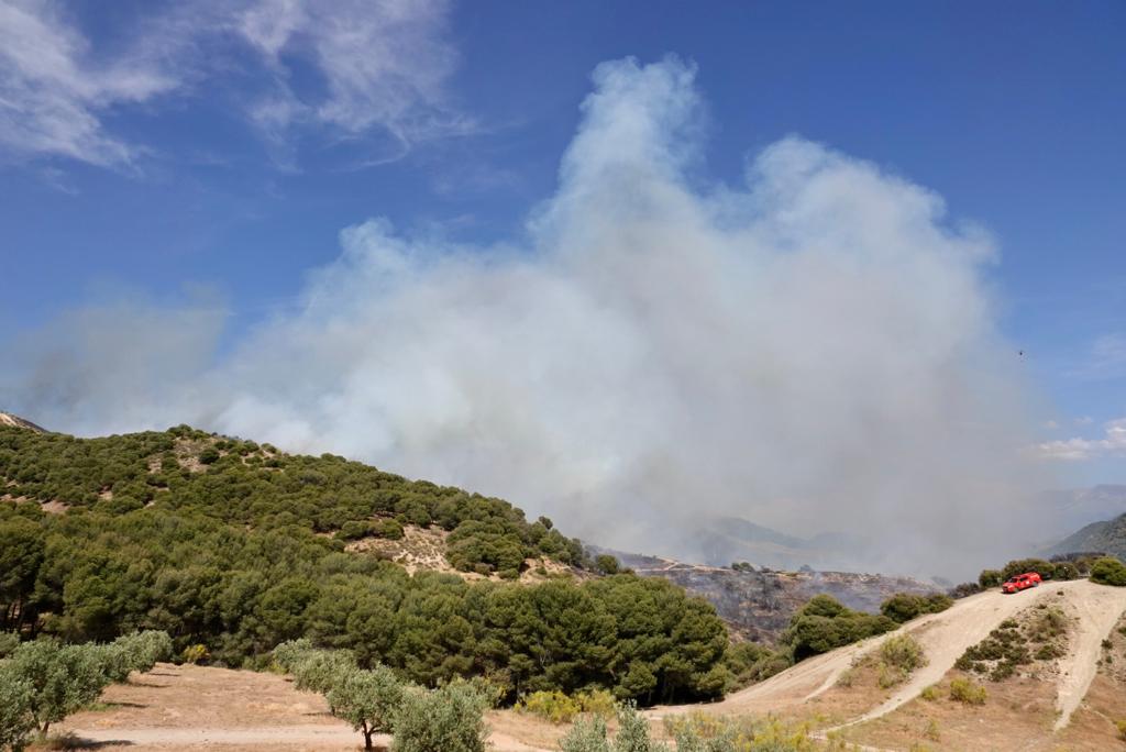 El fuego se ha originado en una zona cercana a viviendas y la Abadía del Sacromonte