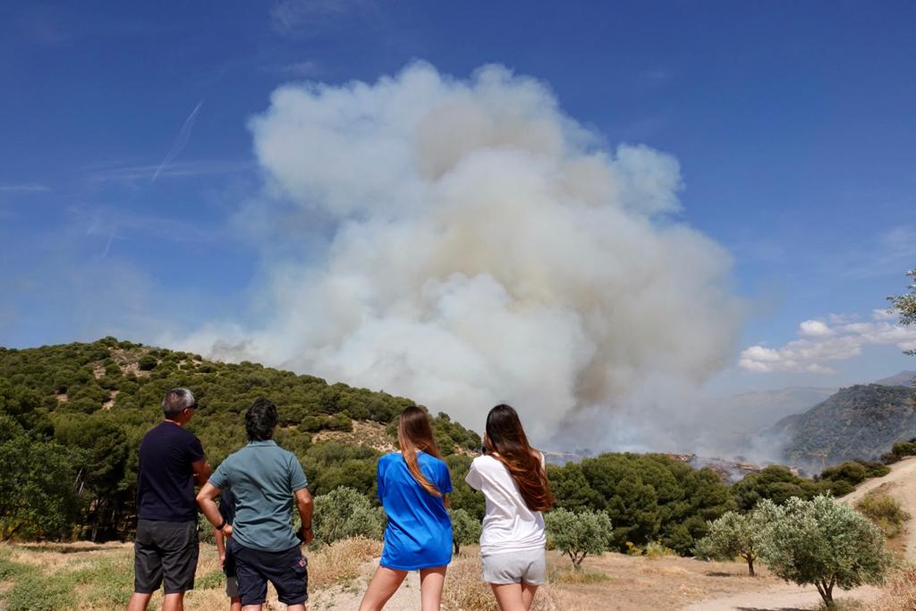 El fuego se ha originado en una zona cercana a viviendas y la Abadía del Sacromonte