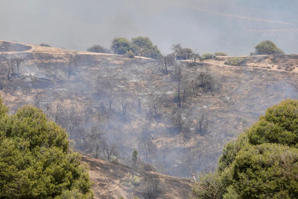 El fuego se ha originado en una zona cercana a viviendas y la Abadía del Sacromonte