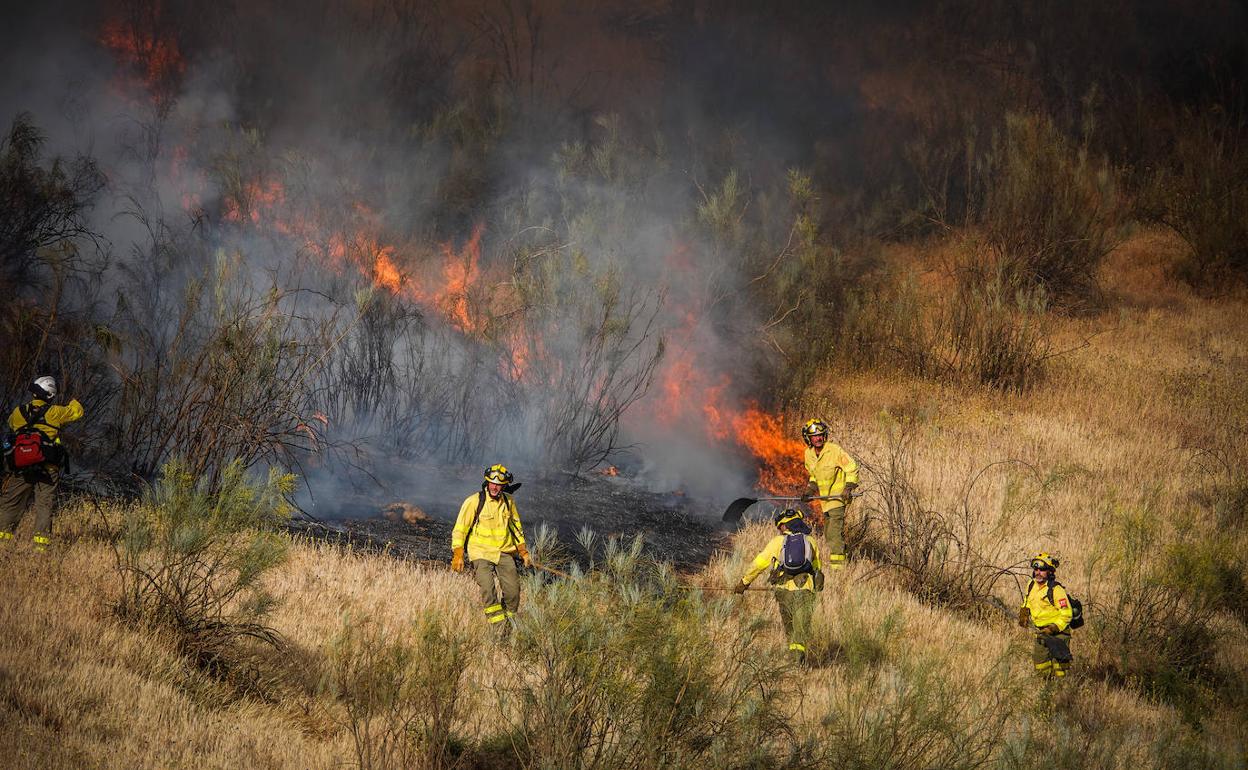 Los bomberos del Infoca intentan atajar las llamas.