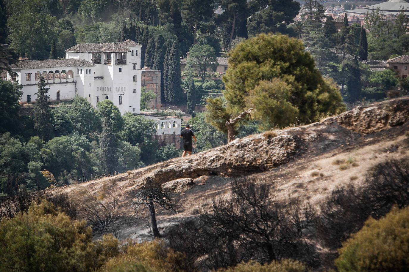 Visitamos el entorno afectado por el fuego declarado el pasado domingo por la tarde