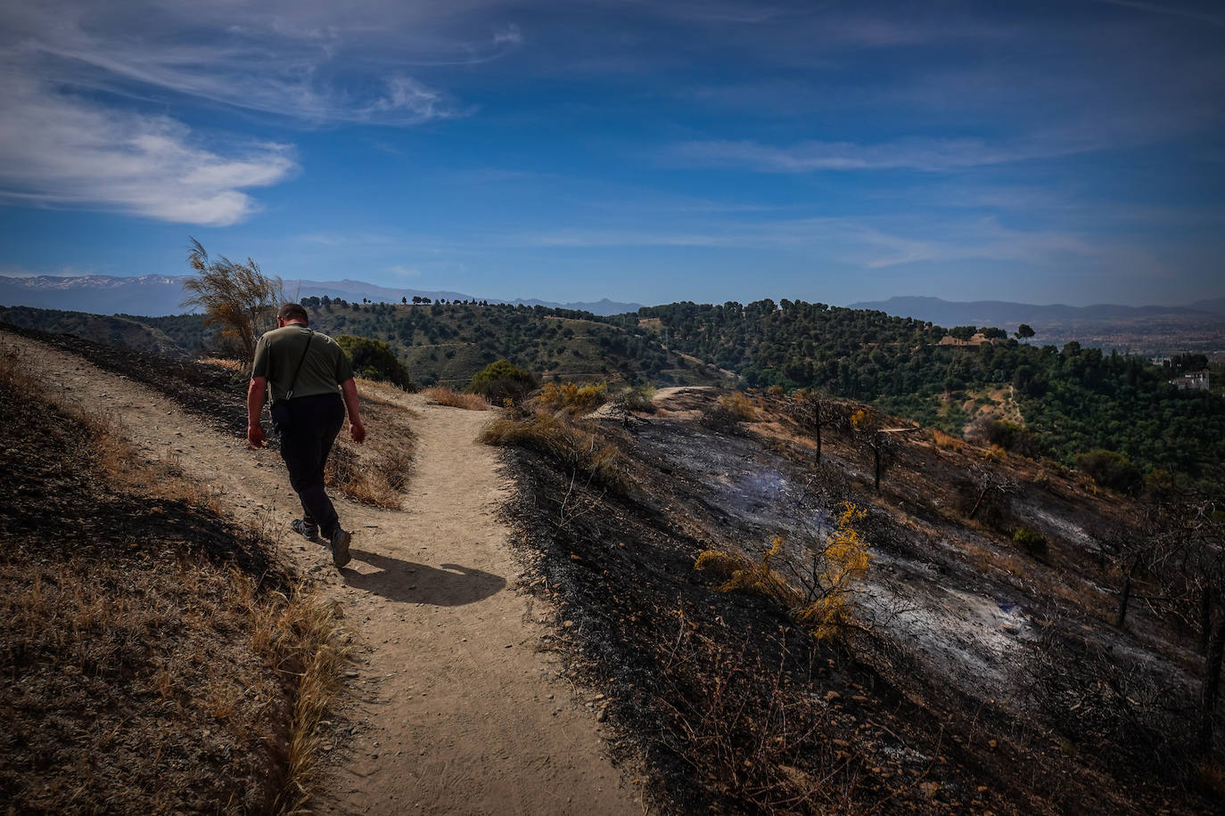 Visitamos el entorno afectado por el fuego declarado el pasado domingo por la tarde