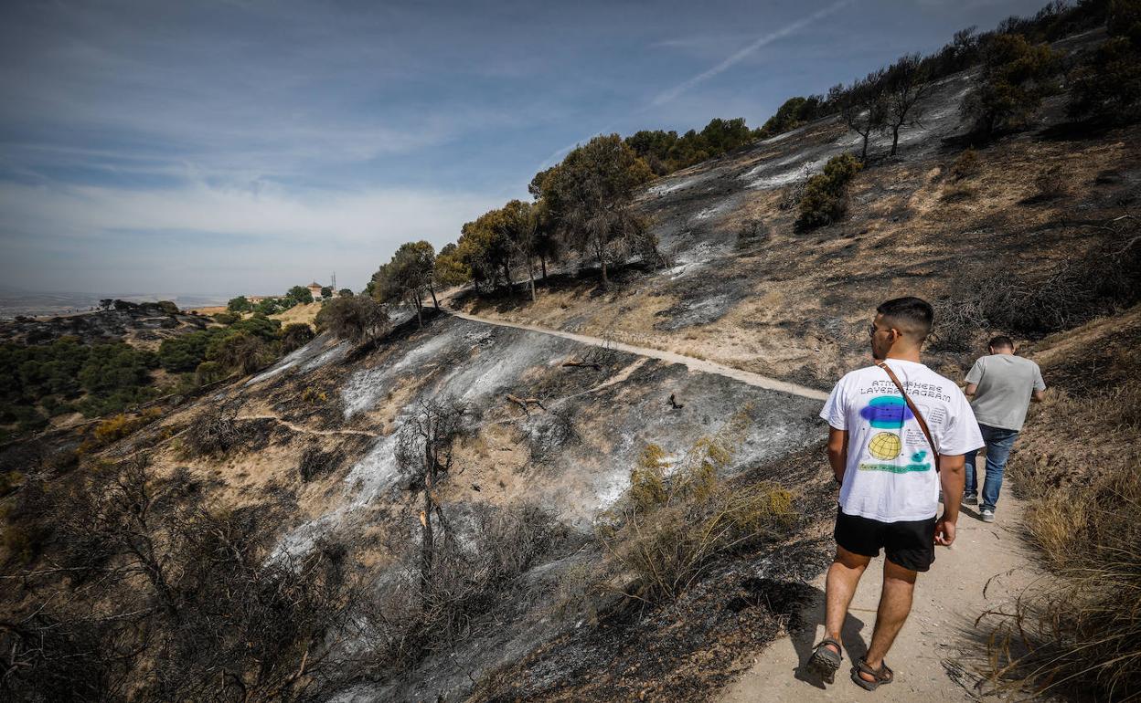 El Arzobispado valora solicitar la zona catastrófica para el área calcinada en el Sacromonte