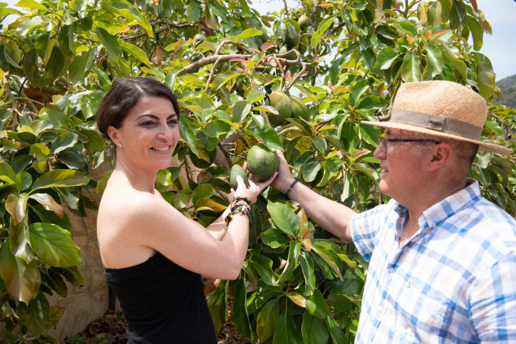Macarena Olona, en su visita a una plantación de aguacates en Motril.
