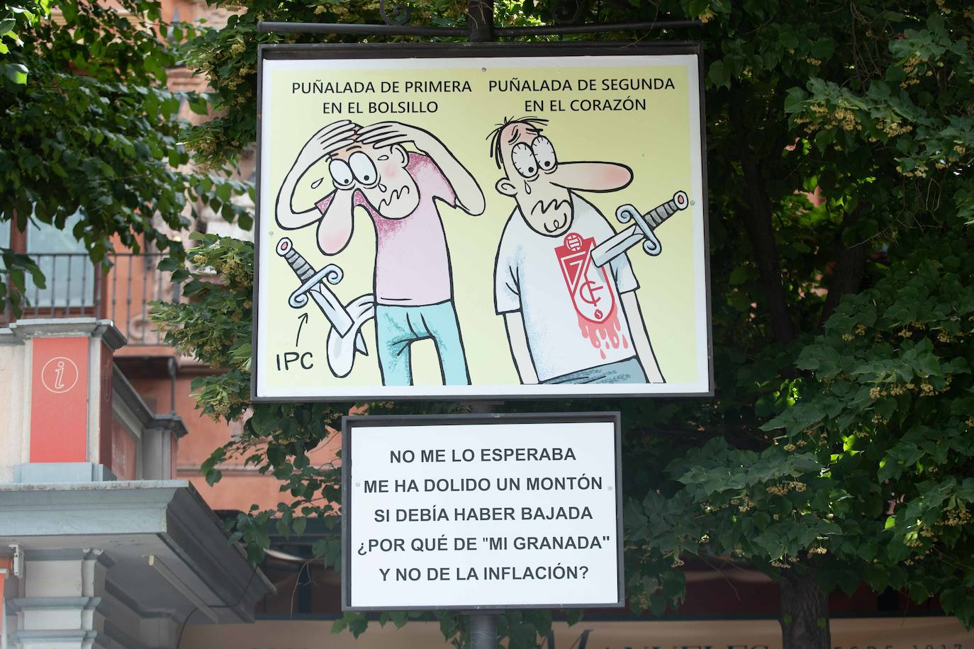 ¿Quieres conocer de primera mano qué cuentan las carocas de este año? Te las llevamos desde Bibrambla a tu casa