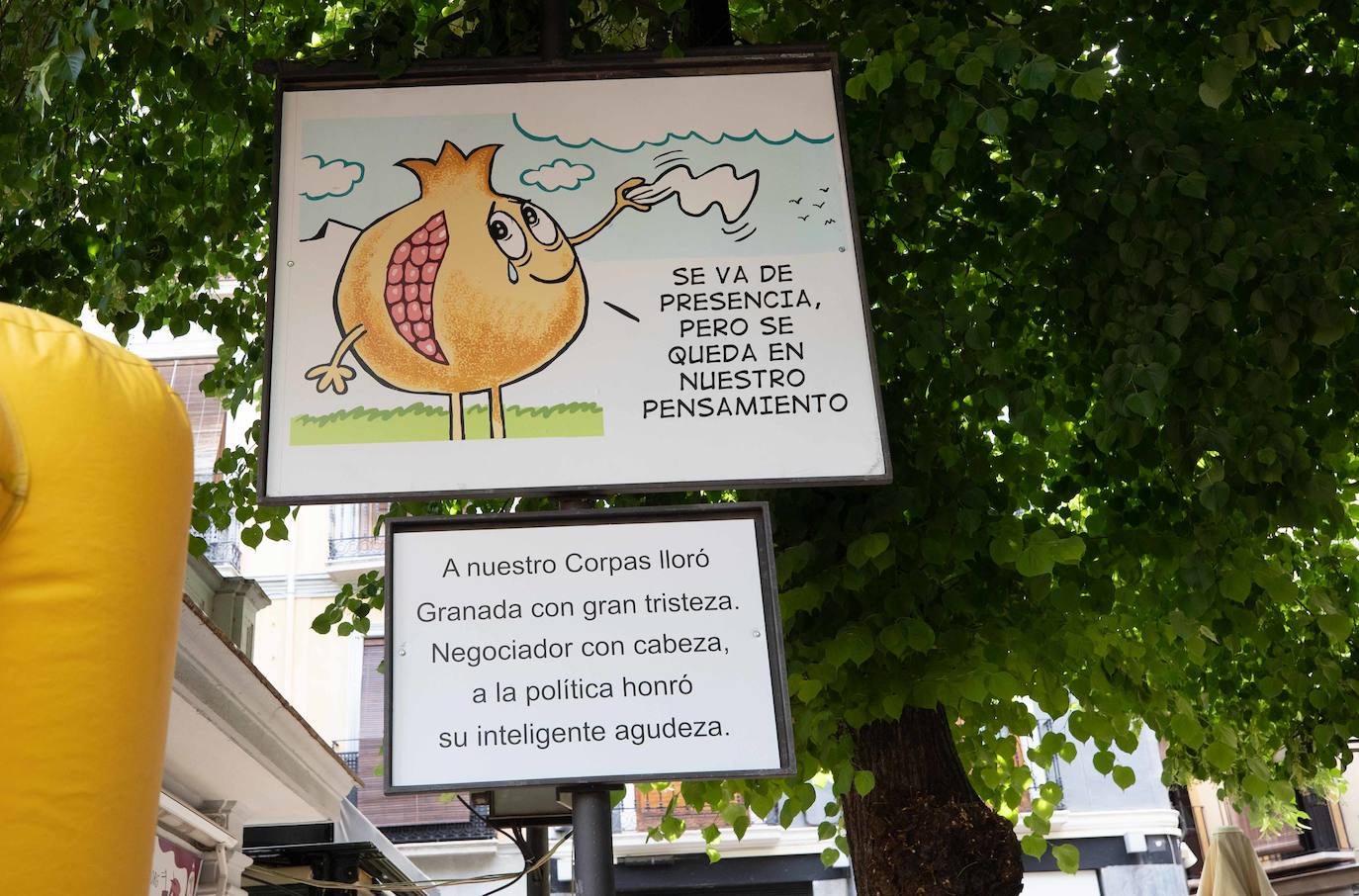 ¿Quieres conocer de primera mano qué cuentan las carocas de este año? Te las llevamos desde Bibrambla a tu casa