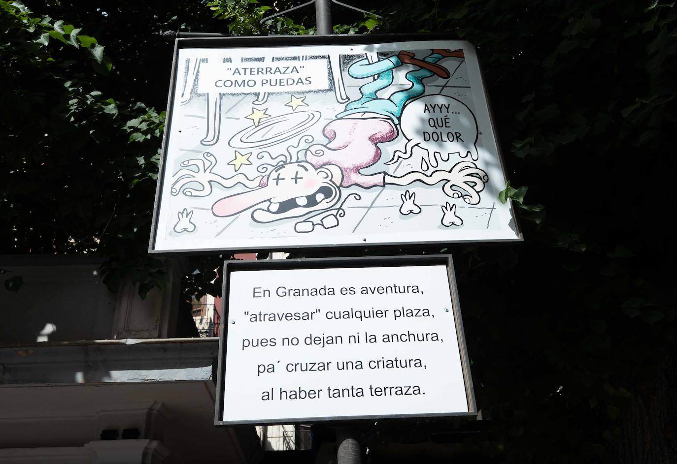 ¿Quieres conocer de primera mano qué cuentan las carocas de este año? Te las llevamos desde Bibrambla a tu casa