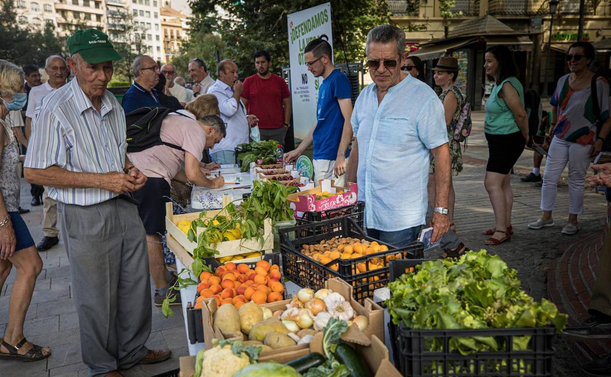 Las plataformas llevaron productos de la Vega a la Fuente de las Batallas.