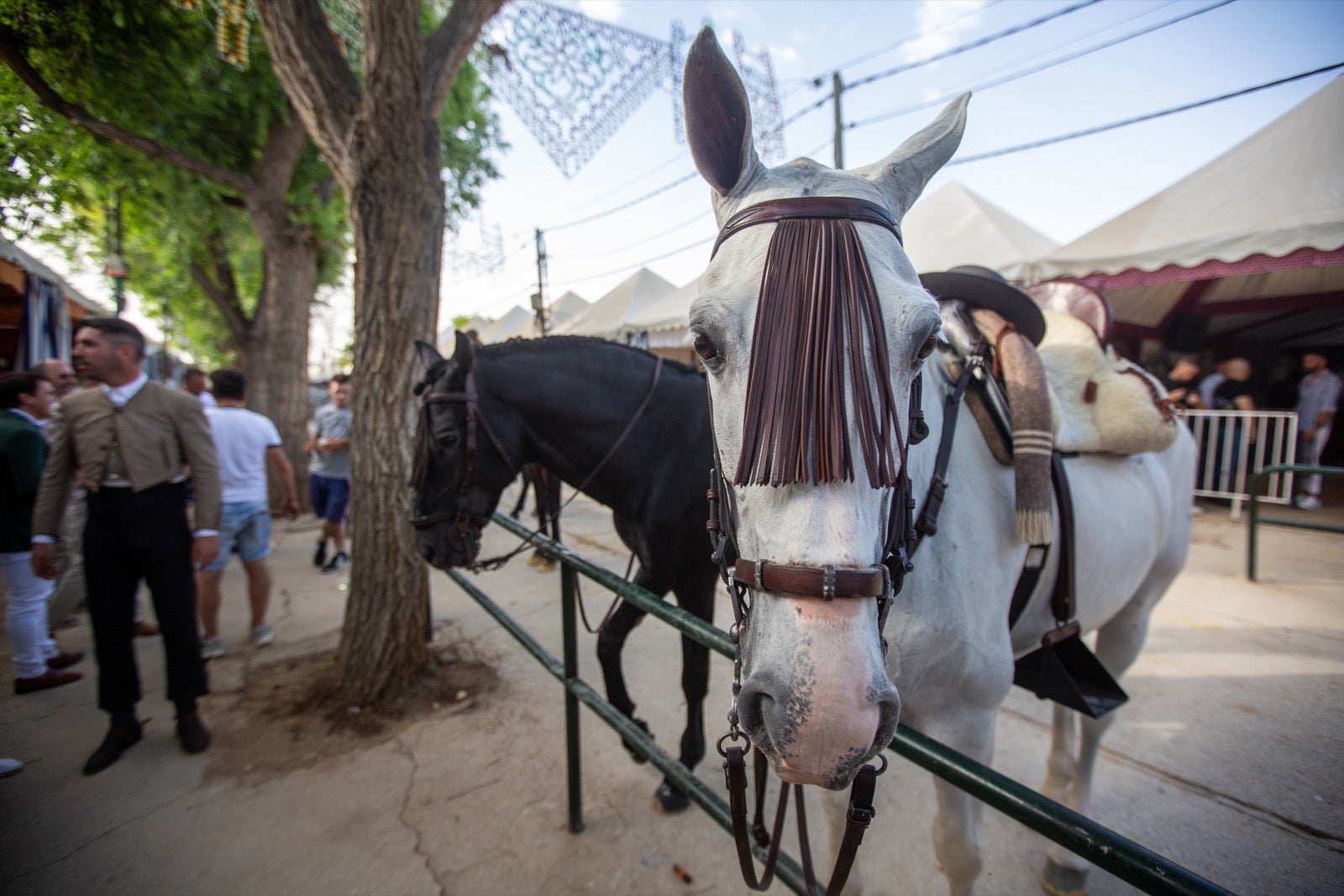 Brindis a caballo por la Fería de Graná.