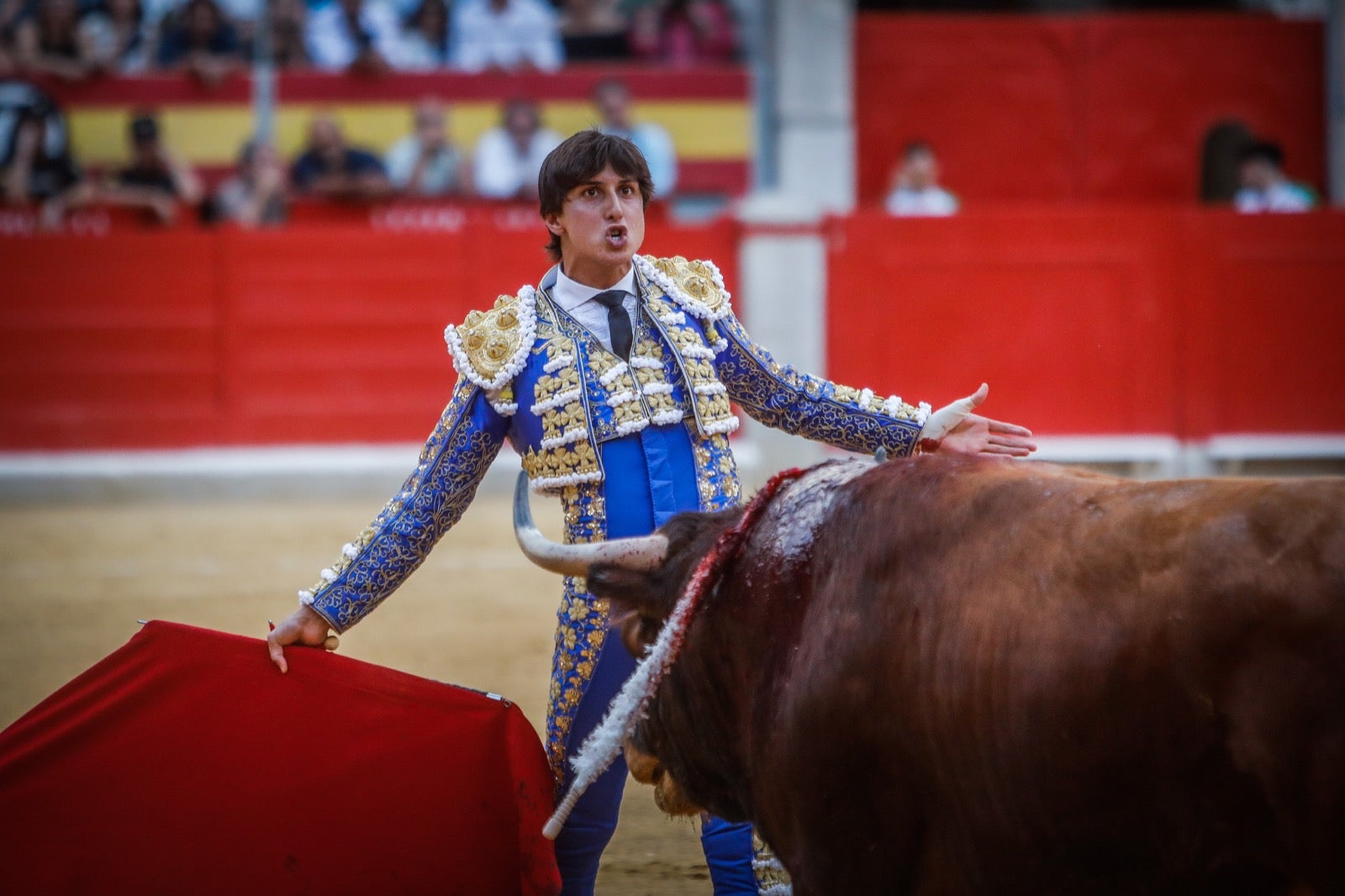 La afición taurina disfrutó de una tarde triunfal.