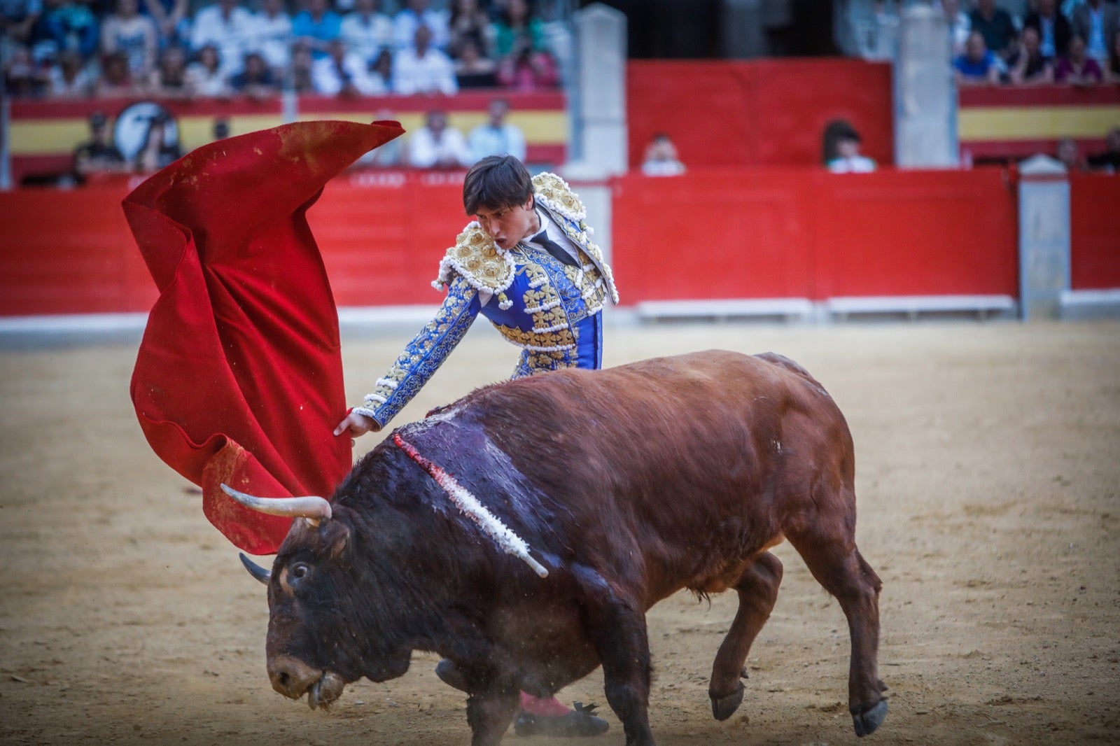 La afición taurina disfrutó de una tarde triunfal.