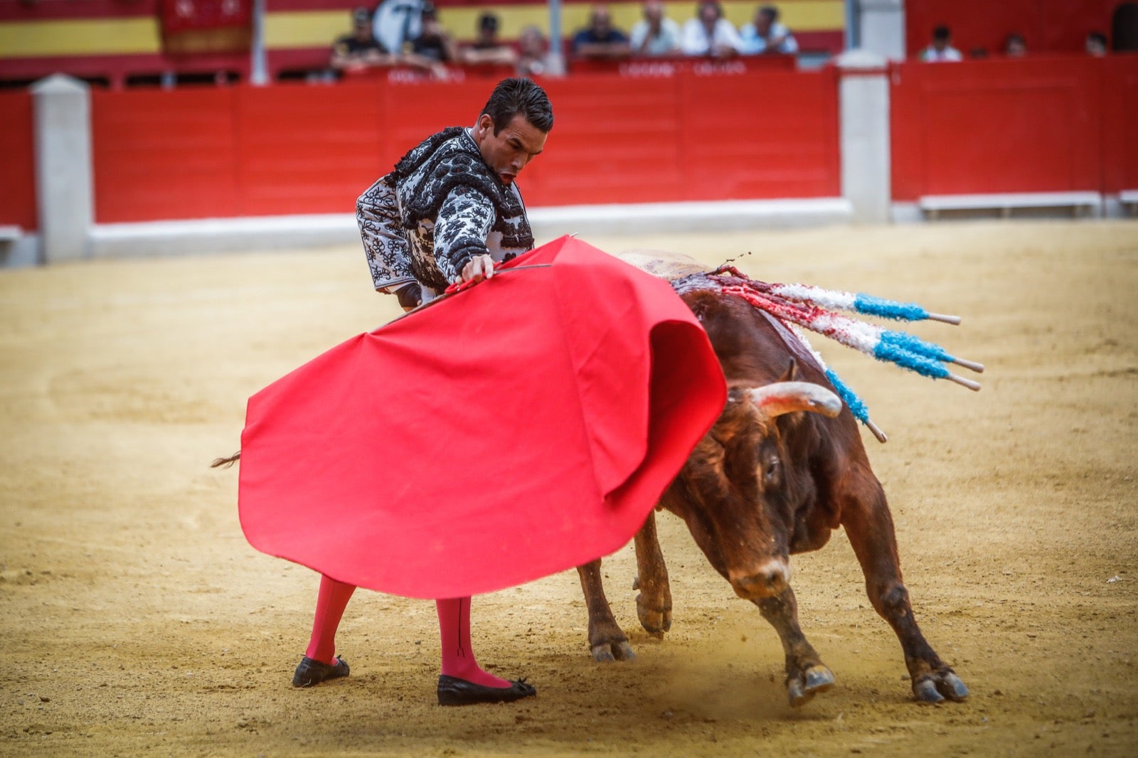 La afición taurina disfrutó de una tarde triunfal.