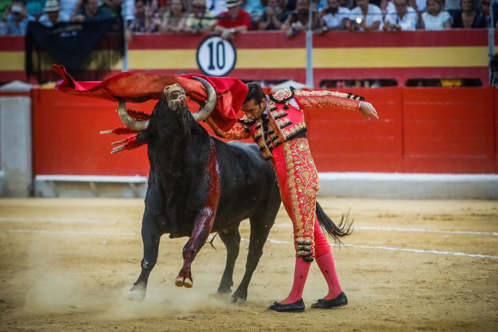 La afición taurina disfrutó de una tarde triunfal.