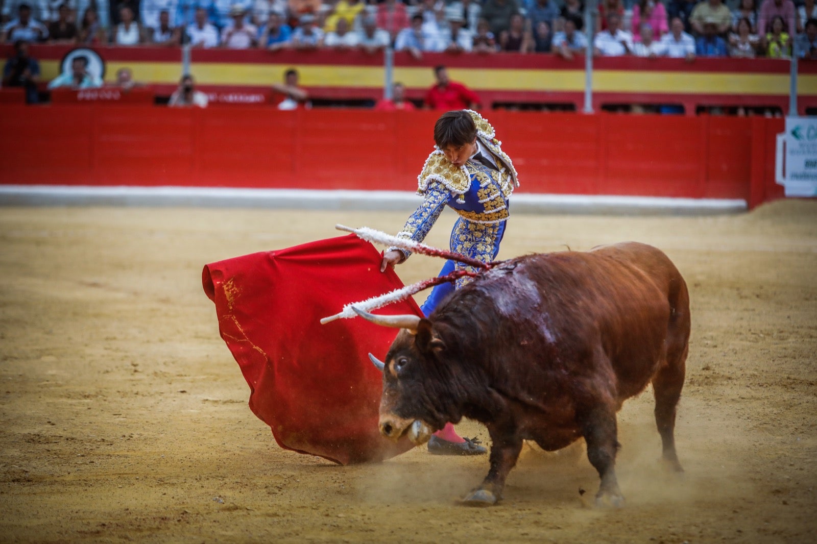 La afición taurina disfrutó de una tarde triunfal.