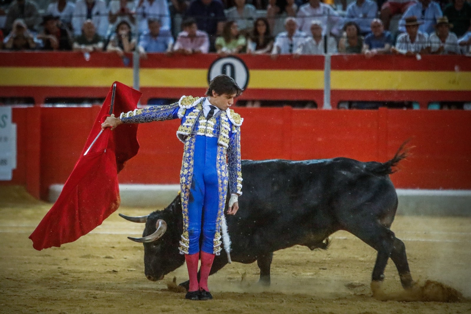 La afición taurina disfrutó de una tarde triunfal.