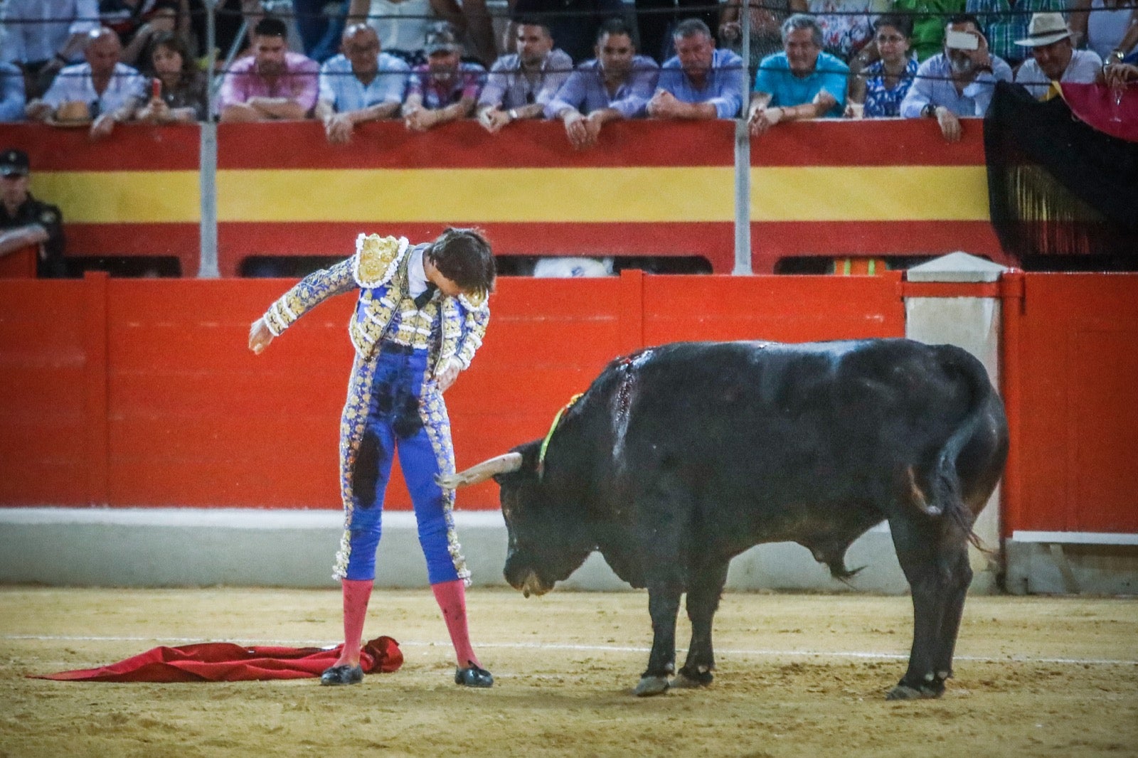 La afición taurina disfrutó de una tarde triunfal.