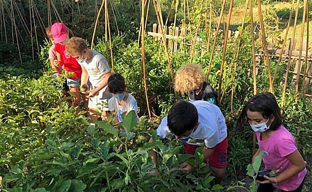 Imagen principal - 14 campamentos de verano en Granada cargados de actividades y diversión