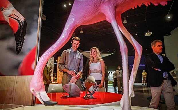 El flamenco, inspirador del diseño de turbinas. 