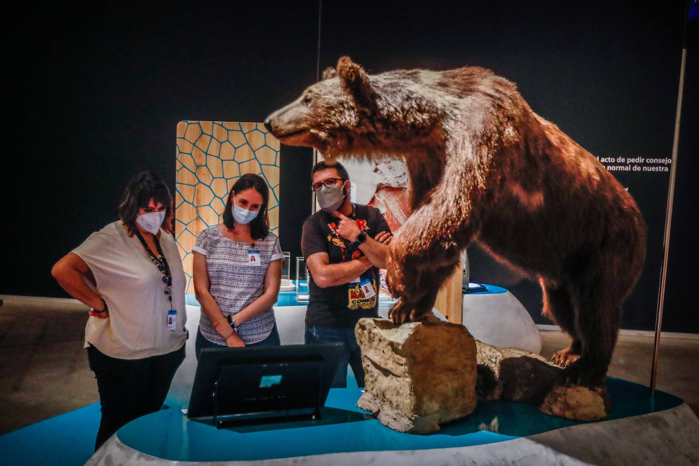 Una espectacular exposición muestra cómo la ciencia, la ingeniería o la arquitectura copian la naturaleza para lograr avances para el ser humano