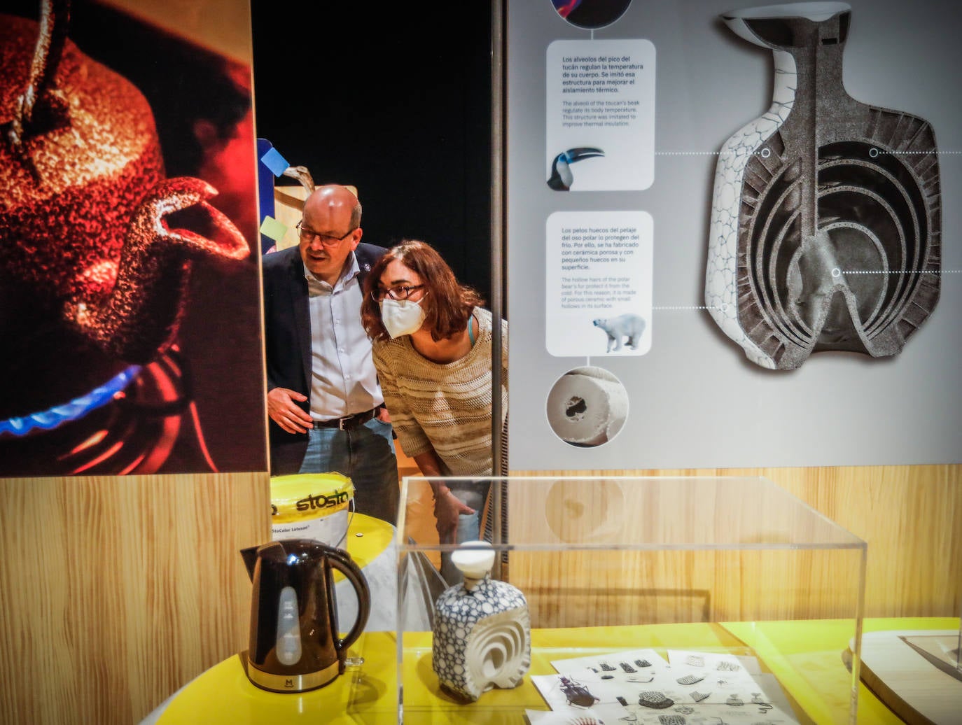 Una espectacular exposición muestra cómo la ciencia, la ingeniería o la arquitectura copian la naturaleza para lograr avances para el ser humano