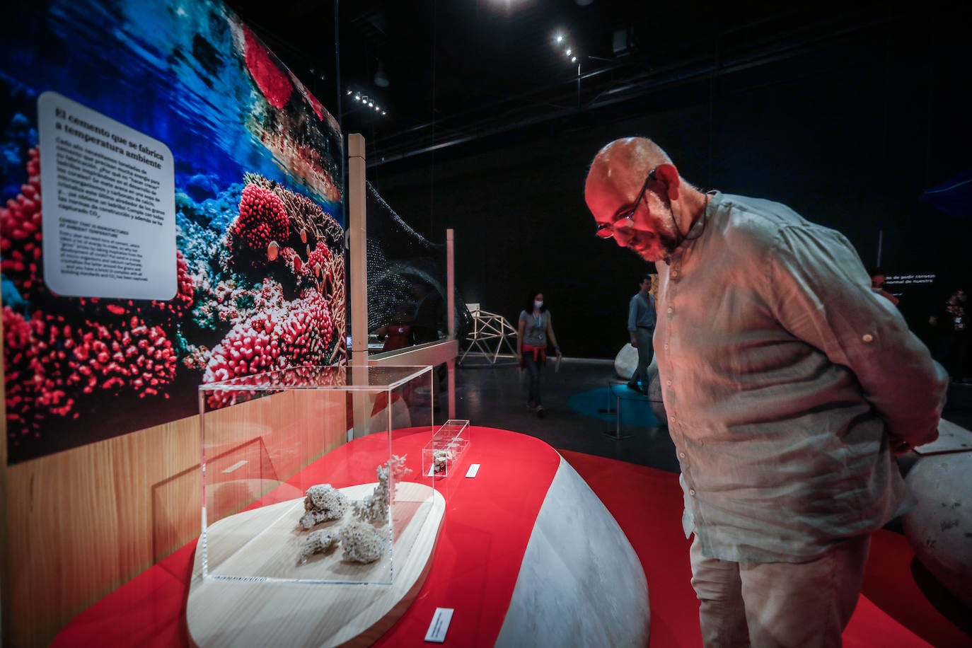 Una espectacular exposición muestra cómo la ciencia, la ingeniería o la arquitectura copian la naturaleza para lograr avances para el ser humano